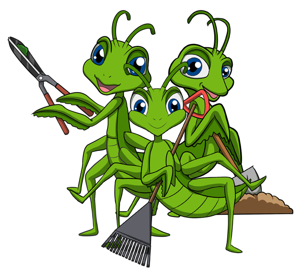 Mantis experts doing different property maintenance tasks and taking care of properties in Calgary.